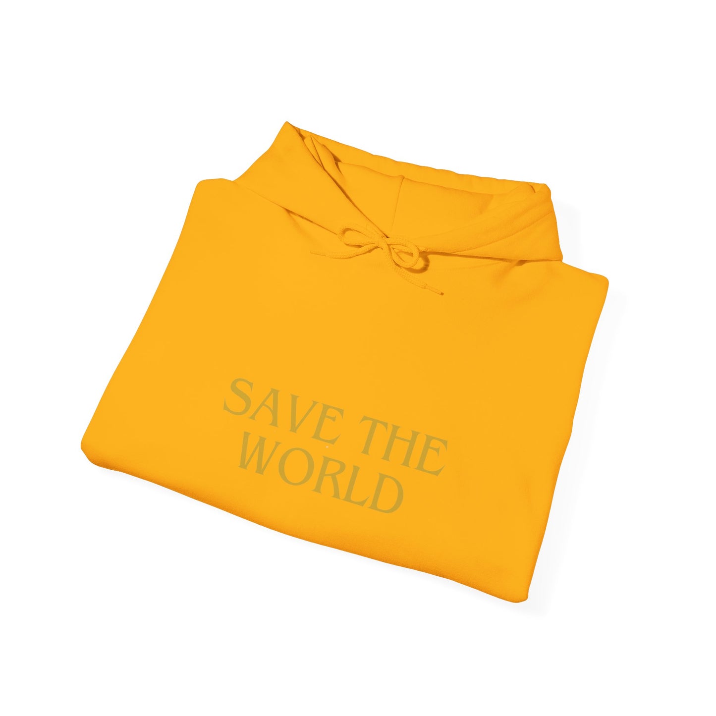 Climate Change Activist Hoodie - SAVE THE WORLD YOU KEEP IGNORING GLOBAL WARMING
