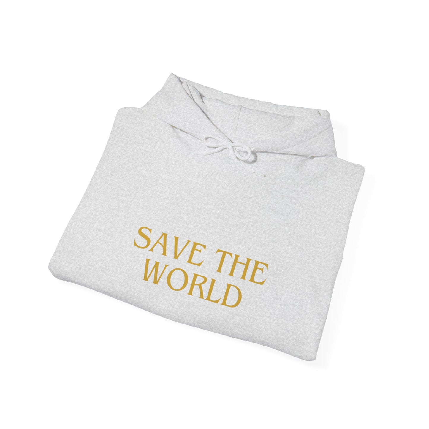 Climate Change Activist Hoodie - SAVE THE WORLD YOU KEEP IGNORING GLOBAL WARMING