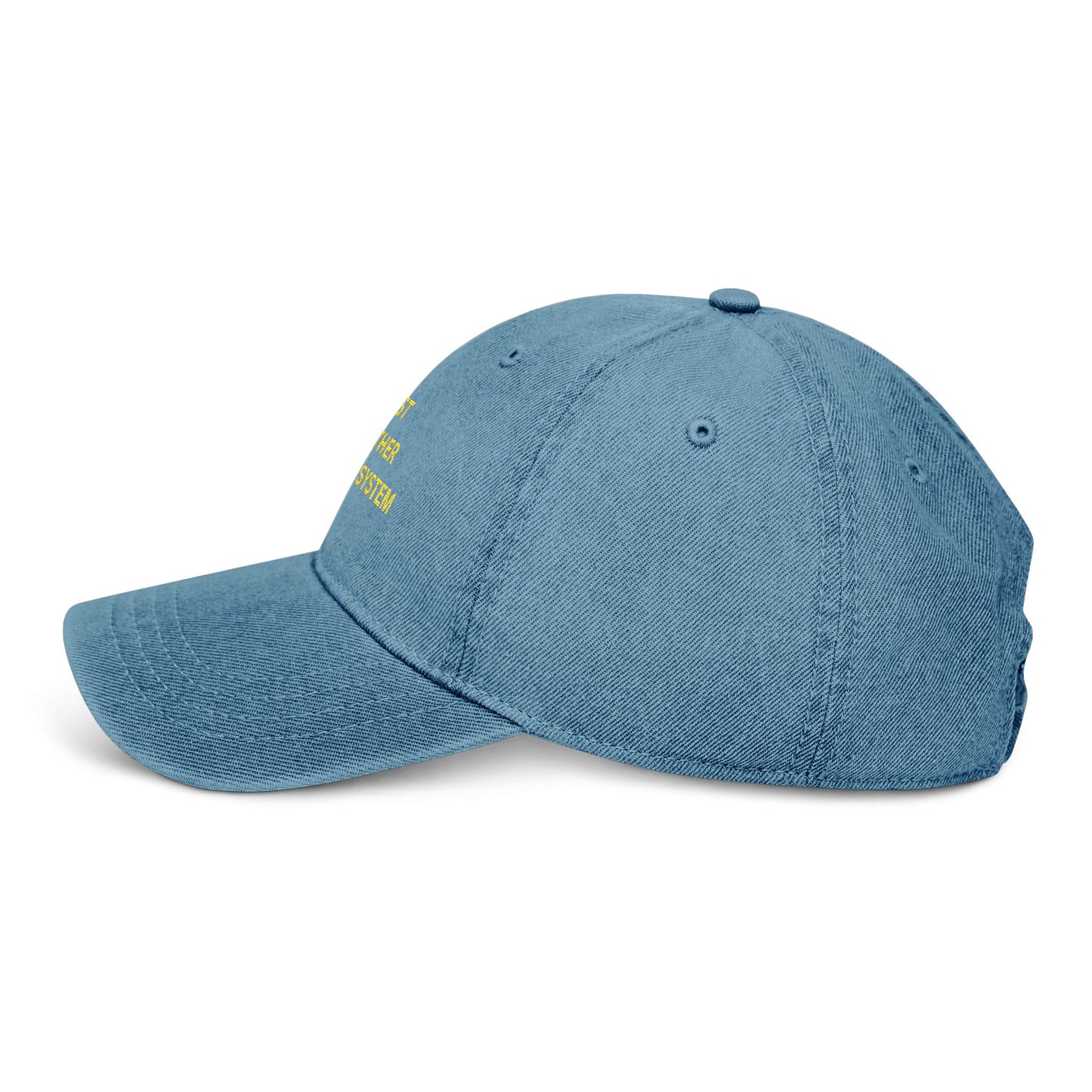 Embroidered Denim Hat - Just Another Broken System