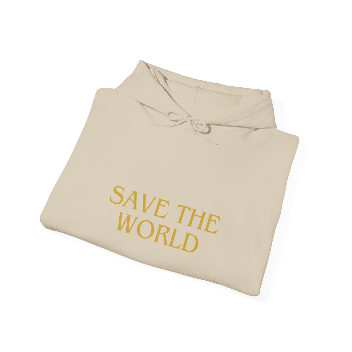 Climate Change Activist Hoodie - SAVE THE WORLD YOU KEEP IGNORING GLOBAL WARMING