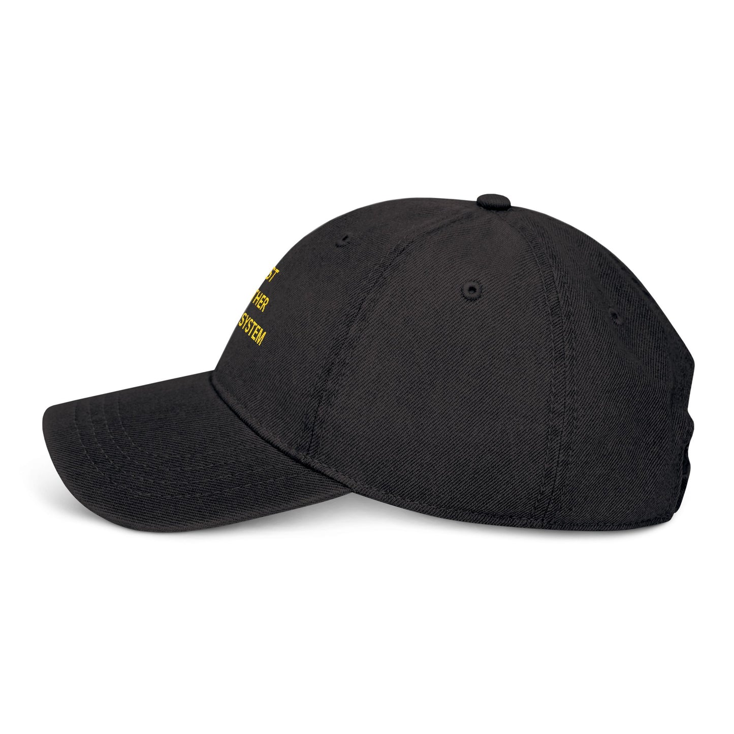 Embroidered Denim Hat - Just Another Broken System
