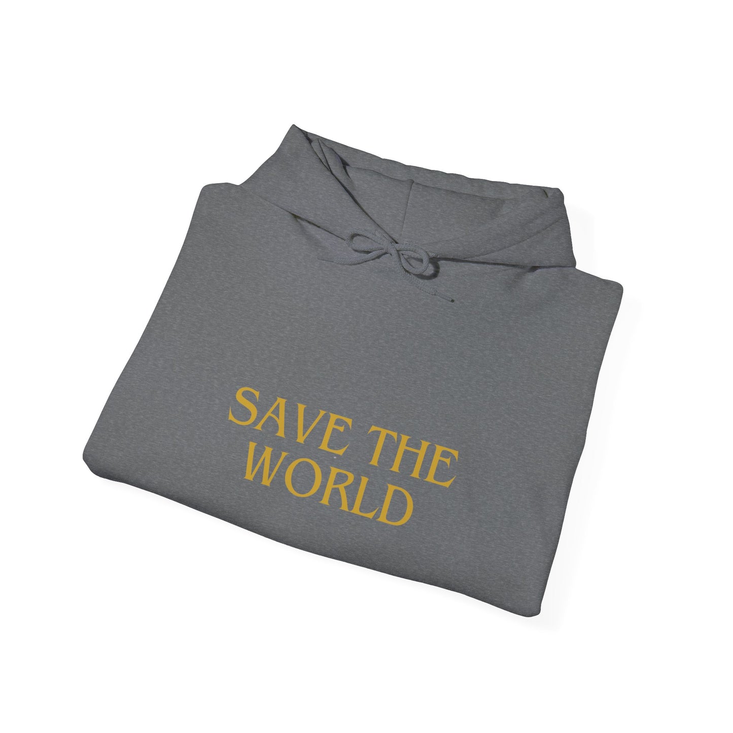 Climate Change Activist Hoodie - SAVE THE WORLD YOU KEEP IGNORING GLOBAL WARMING