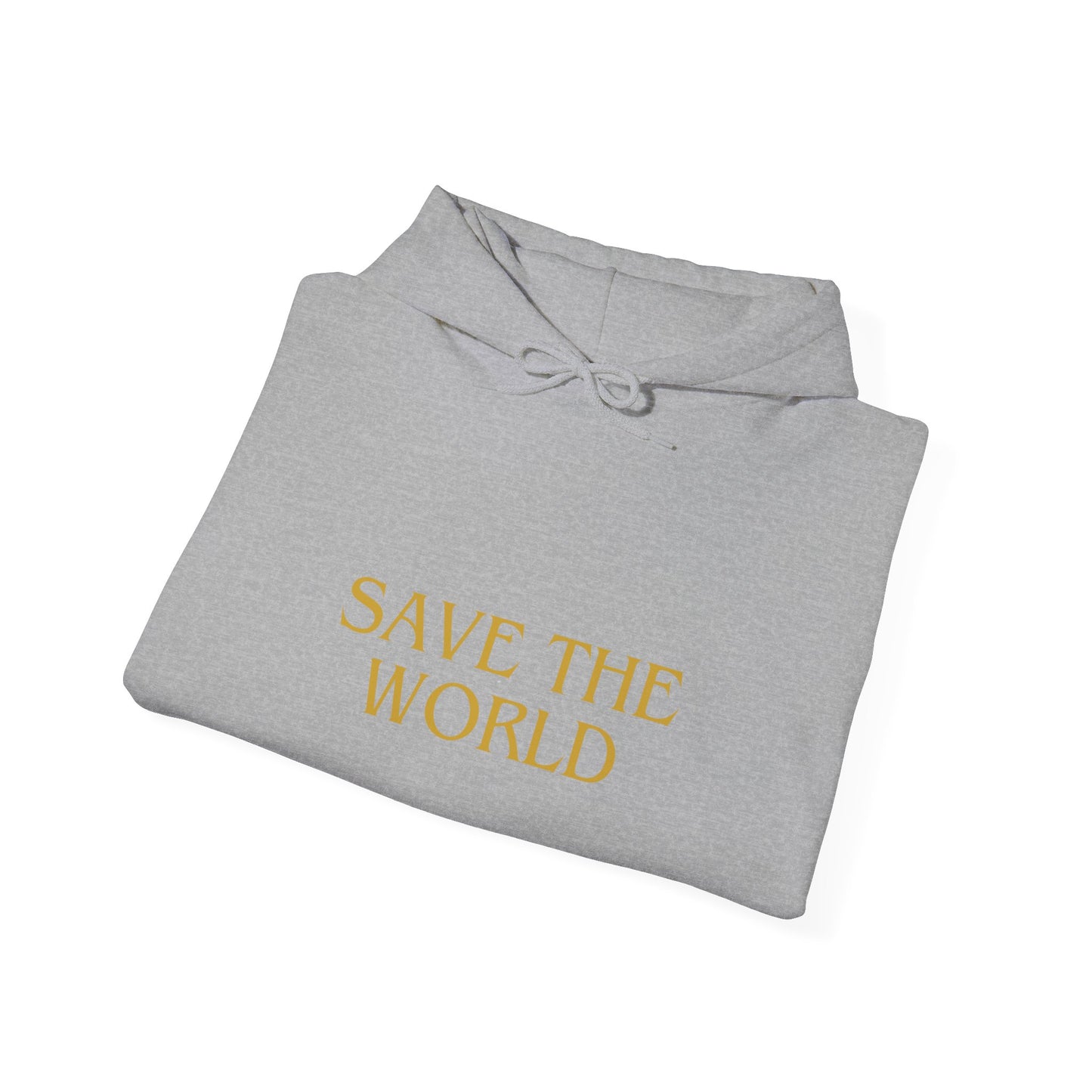Climate Change Activist Hoodie - SAVE THE WORLD YOU KEEP IGNORING GLOBAL WARMING