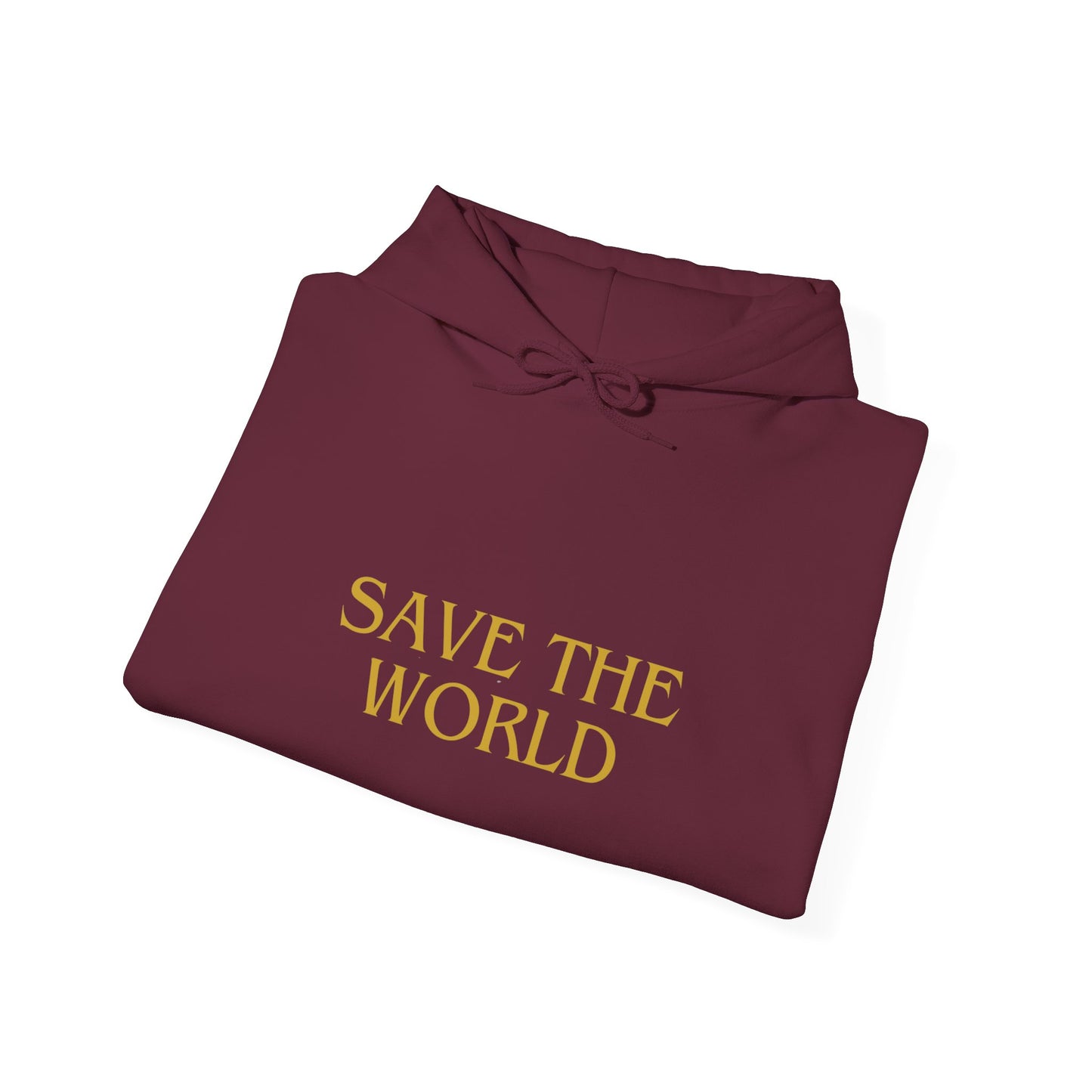 Climate Change Activist Hoodie - SAVE THE WORLD YOU KEEP IGNORING GLOBAL WARMING