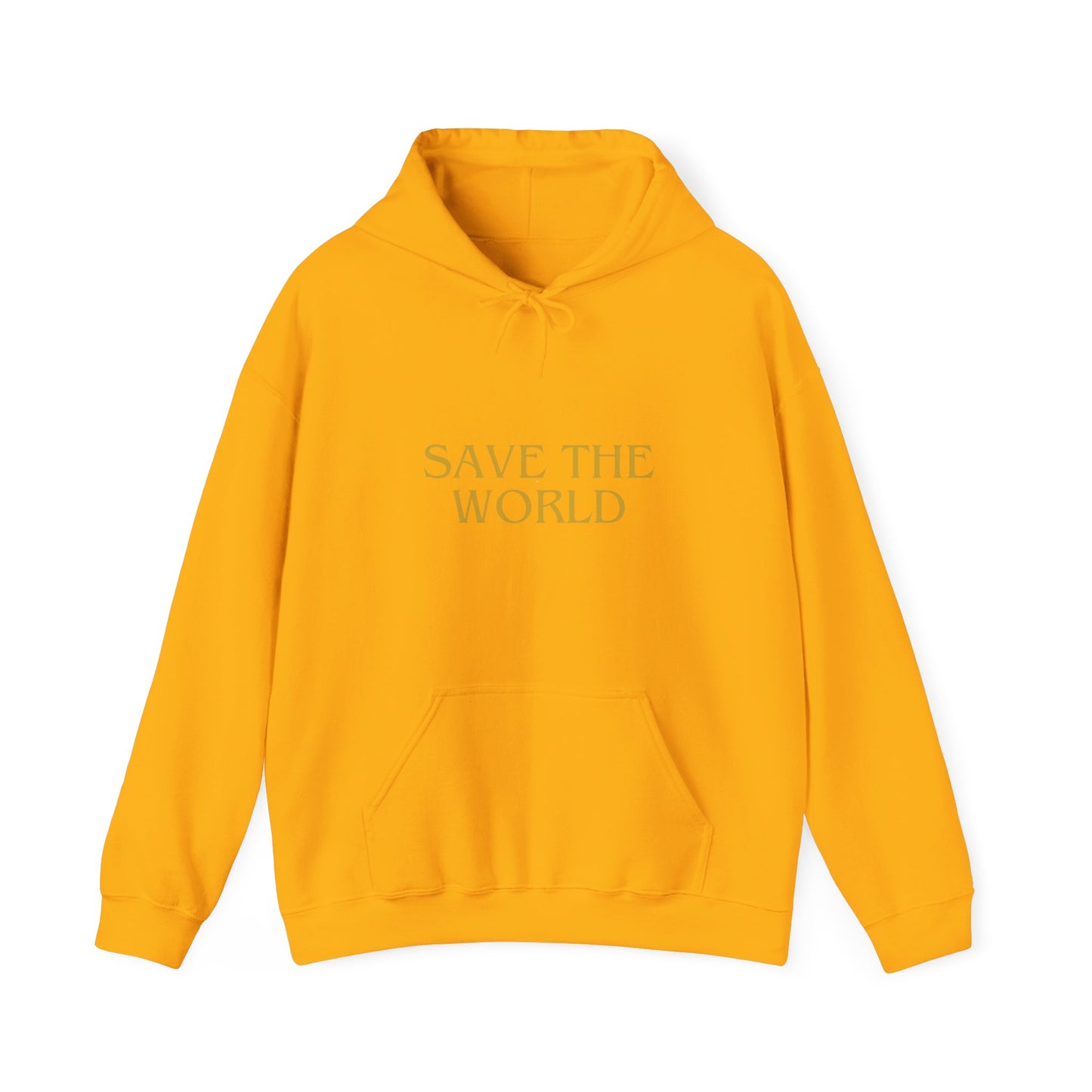 Climate Change Activist Hoodie - SAVE THE WORLD YOU KEEP IGNORING GLOBAL WARMING