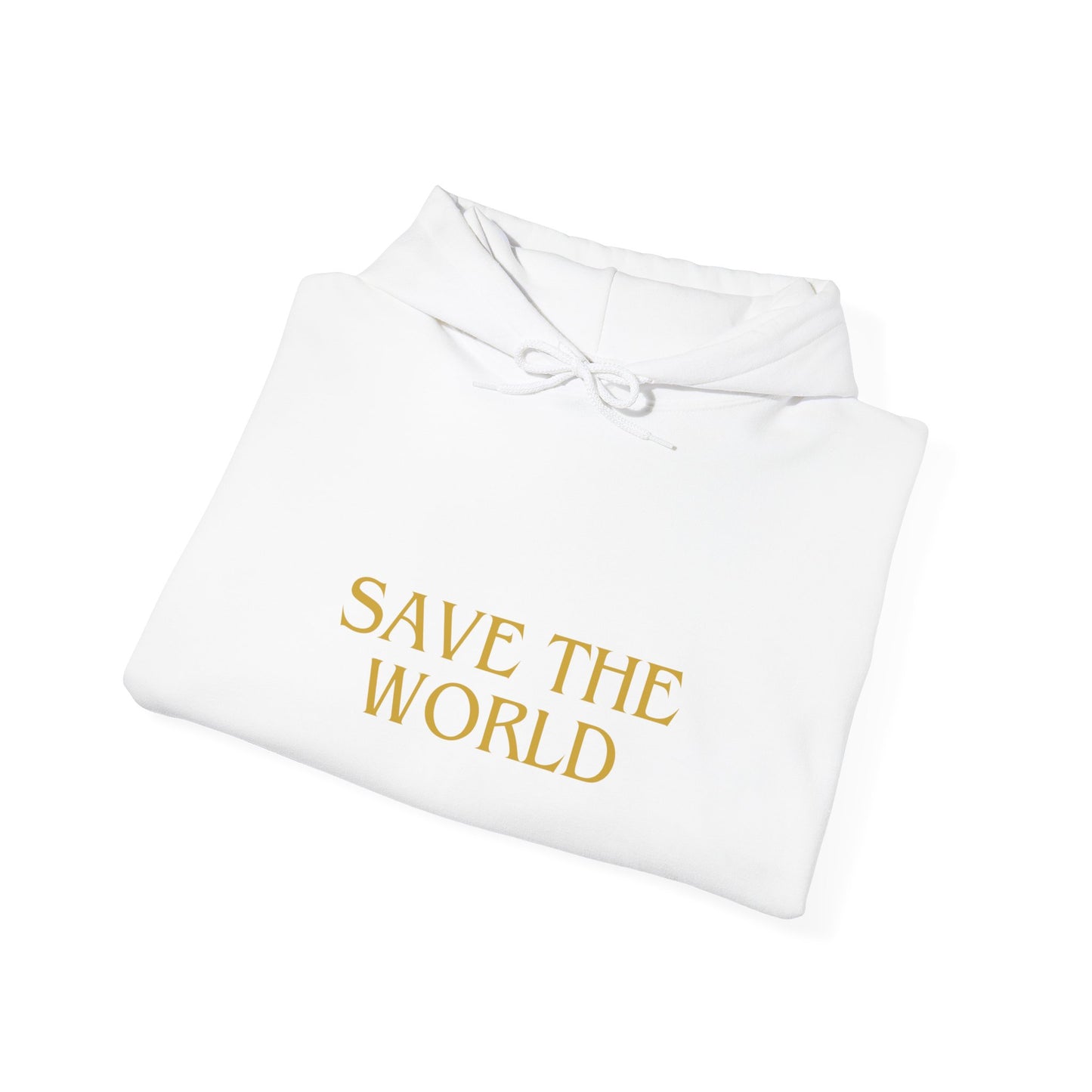 Climate Change Activist Hoodie - SAVE THE WORLD YOU KEEP IGNORING GLOBAL WARMING