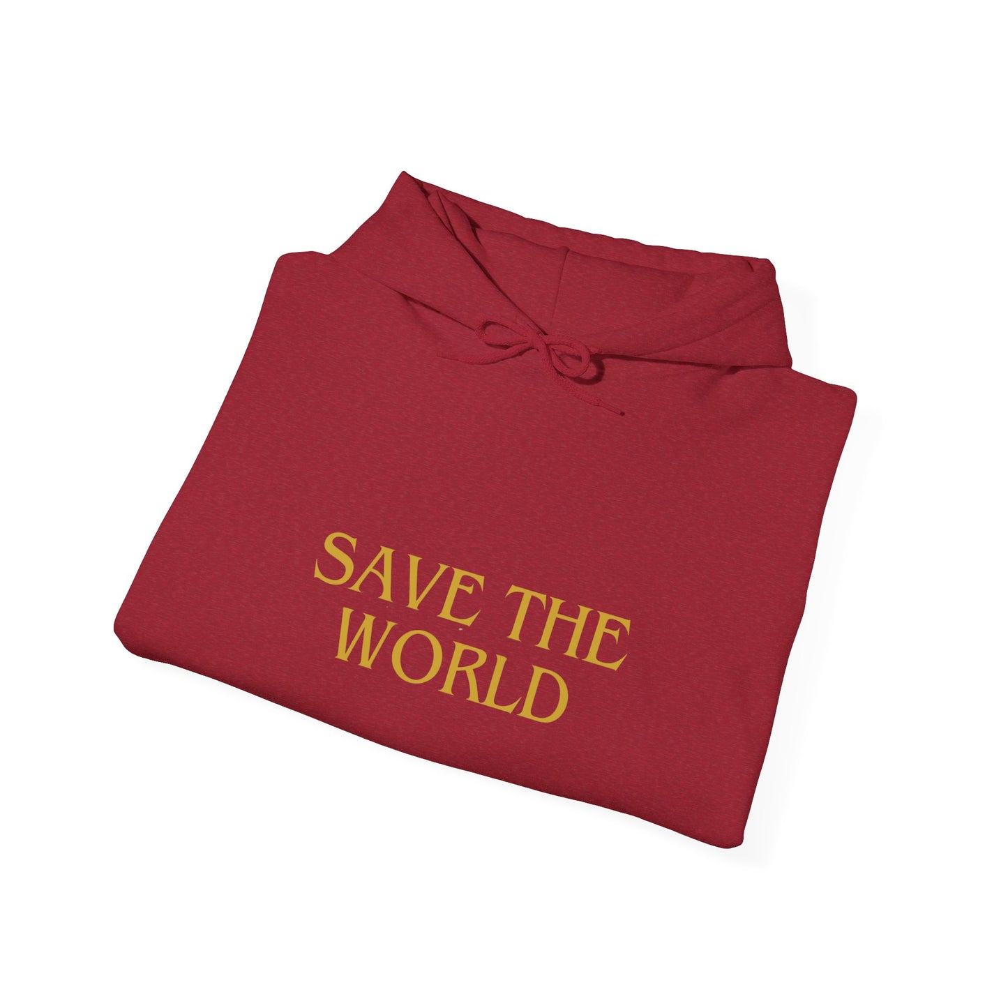 Climate Change Activist Hoodie - SAVE THE WORLD YOU KEEP IGNORING GLOBAL WARMING